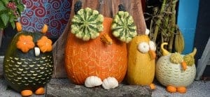 Enjoy Pumpkin Patch and Ephraim lodging