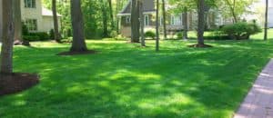 lawn care in Green Bay by Straw Hat Lawn Care