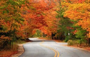 Read more about the article You haven’t missed Door County peak fall colors
