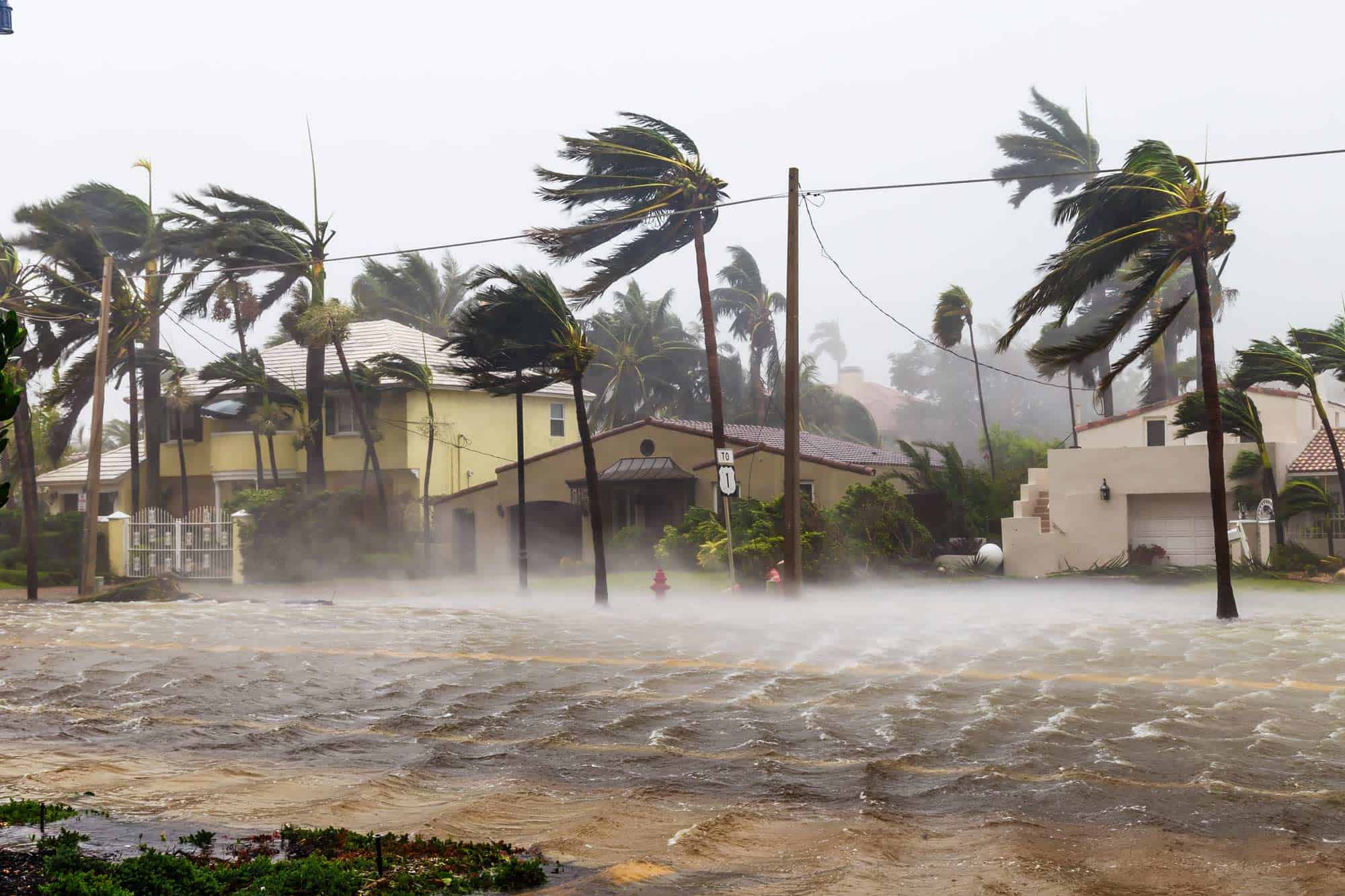 You are currently viewing Hurricane-force winds increase the chances of windshield damage