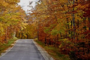 Read more about the article Enjoy the Door County peak fall colors this October