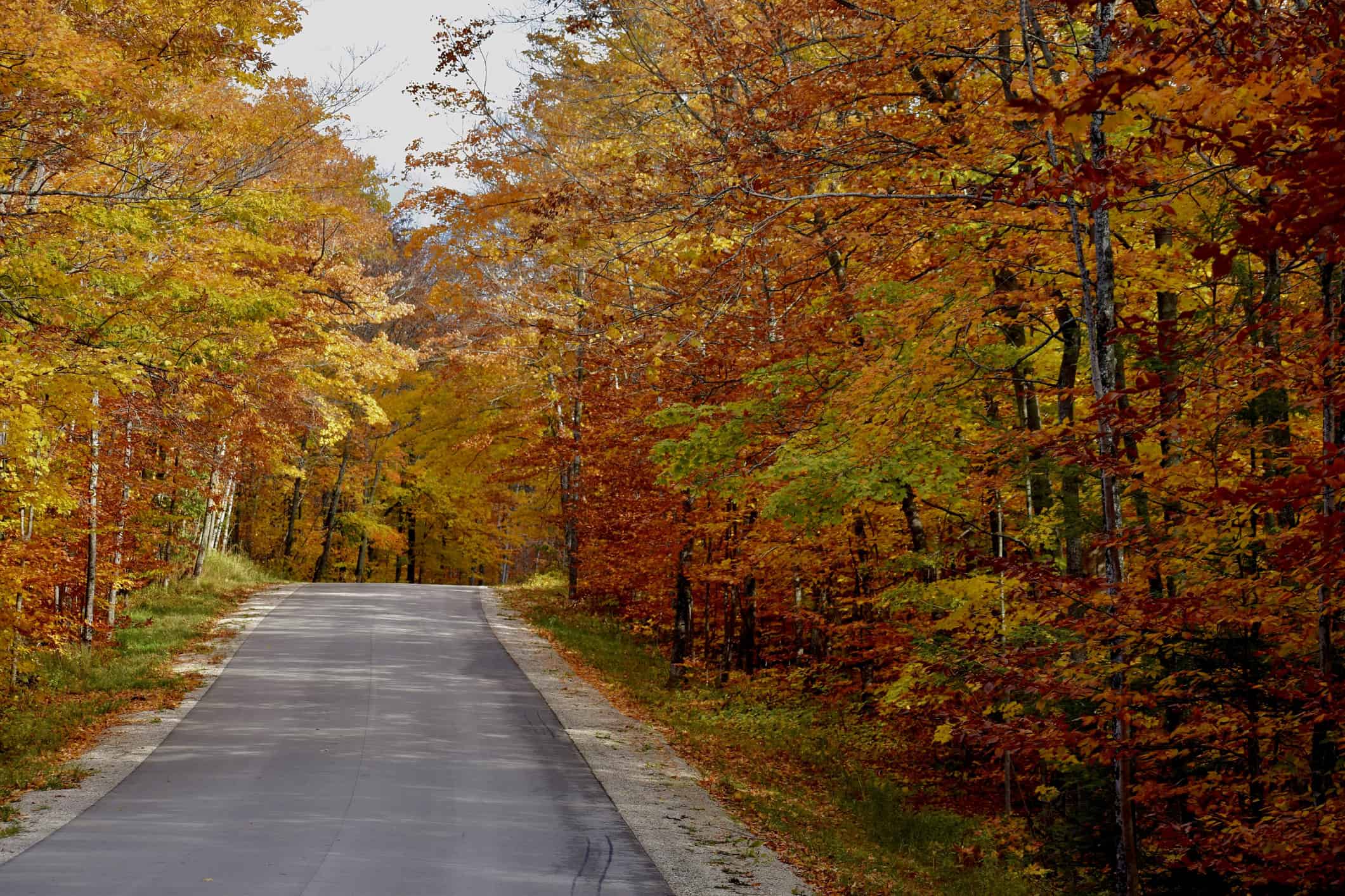 You are currently viewing Enjoy the Door County peak fall colors this October